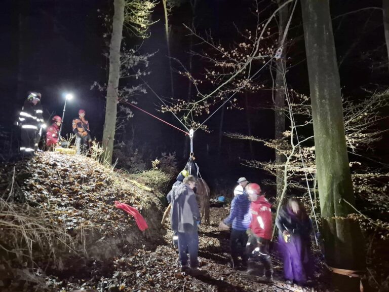 zachrana_kone_liberec_kraj_04