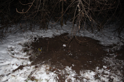 Muž se pokusil brutálně usmrtit svého psa, hrozí mu až šest let vězení. Foto: Policie ČR