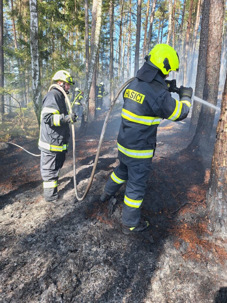 Hasiči v Markvarci bojují s lesním požárem. Foto: HZS Jihočeského kraje