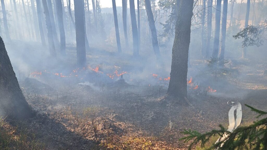 Hasiči v Markvarci bojují s lesním požárem. Foto: HZS Jihočeského kraje