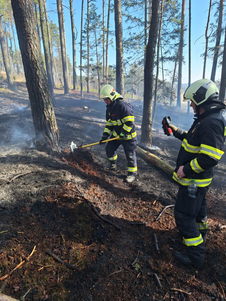 Hasiči v Markvarci bojují s lesním požárem. Foto: HZS Jihočeského kraje