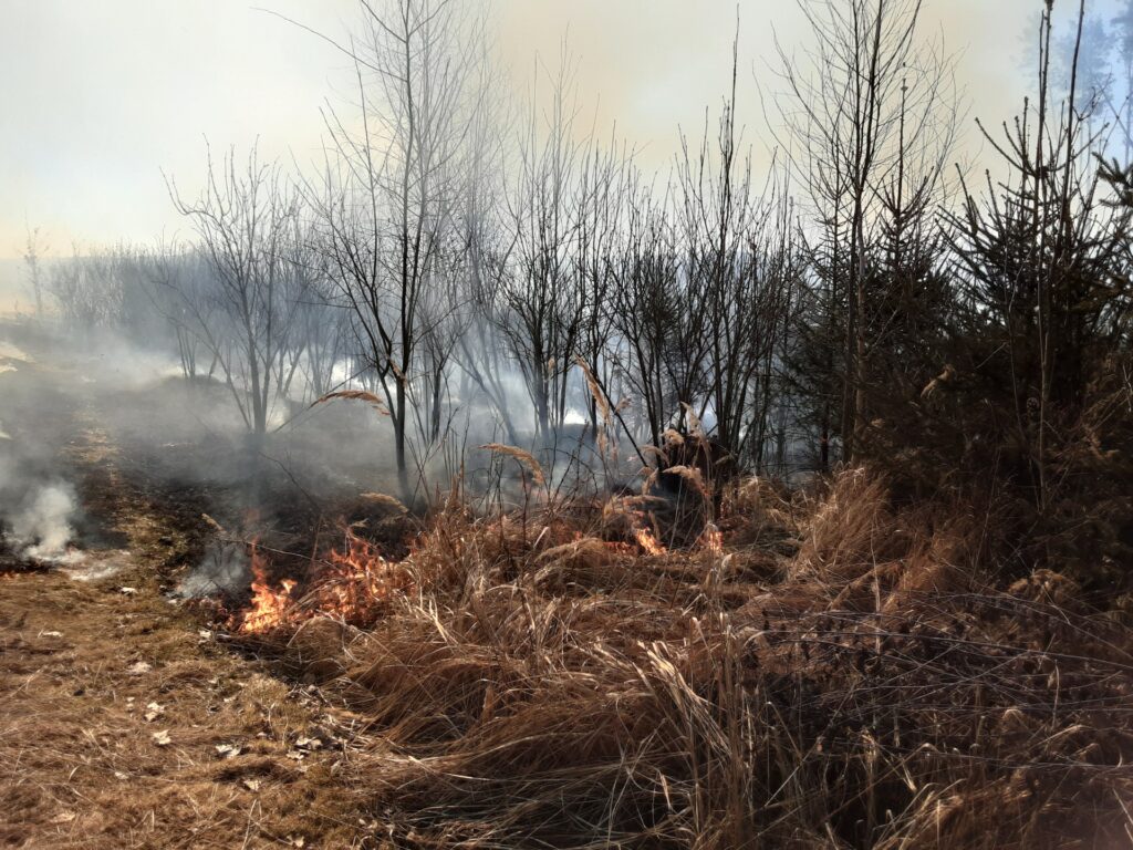 Rozsáhlý požár u Lesné: Hasiči vyhlásili třetí stupeň poplachu. Foto: HZS Kraje Vysočina