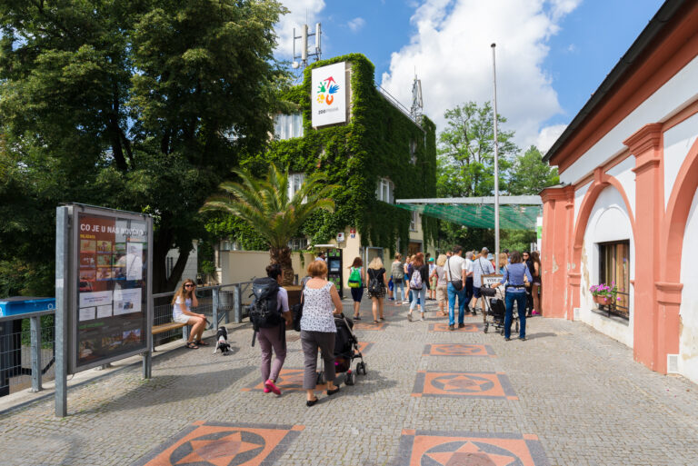 Sezóna začíná! Zoo Praha láká na unikátní podívanou. Foto: ZOO Praha