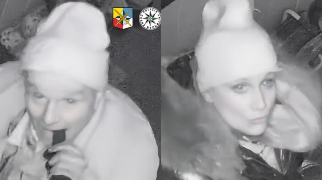 Policie hledá dva zloděje, kteří vykradli dům v Neveklově. Zdroj: Policie ČR