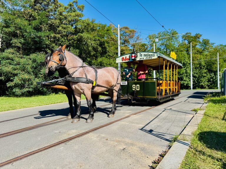konesprezka_tramvaj_kun