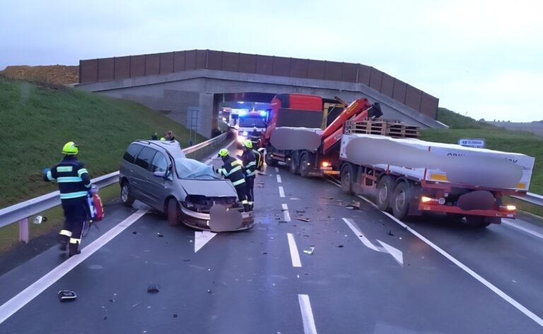 558855960_1242658244560443_8735869648393994345_n