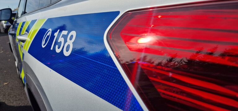 IPO_ilustrace_policie1