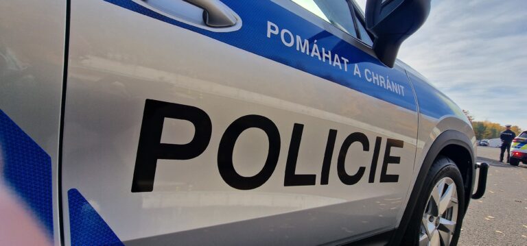 IPO_ilustrace_policie2