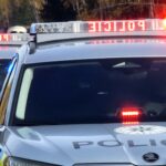 IPO_ilustrace_policie5