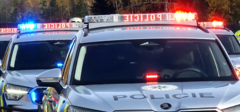 IPO_ilustrace_policie5