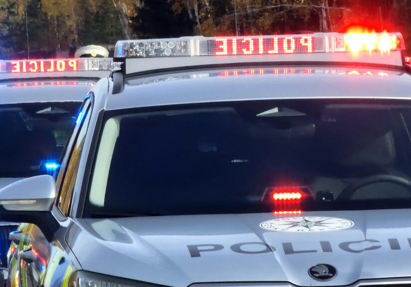 IPO_ilustrace_policie5