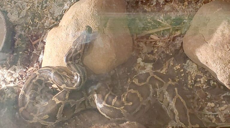 612381402_1293689296134409_4971243891723560376_n