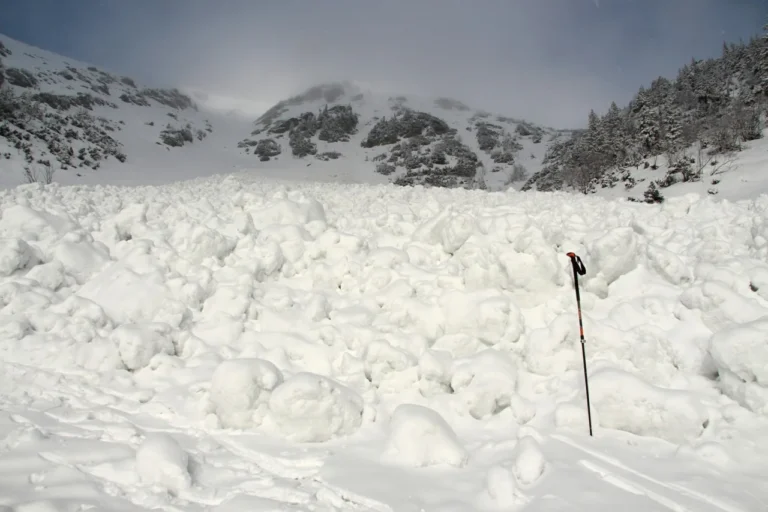 lavina_ilustrace_horskasluzba-cr