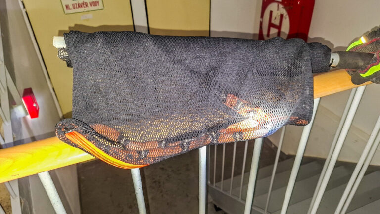 hasici-v-bytovem-dome-odchytili-exotickeho-hada-koralovku