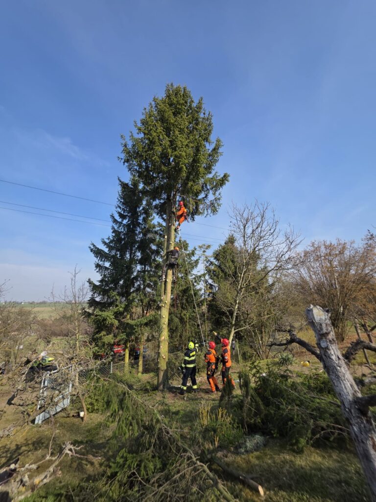 hasici-zachranovali-cloveka-ze-stromu