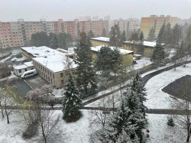 snezeni-v-zapadnich-cechach